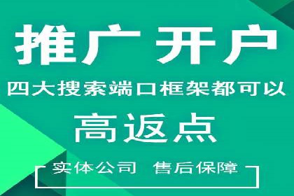 揭秘网络推广竞价的成功要素：以某企业为例